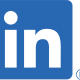 LI-In-Bug